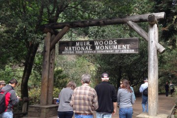 Muir Woods