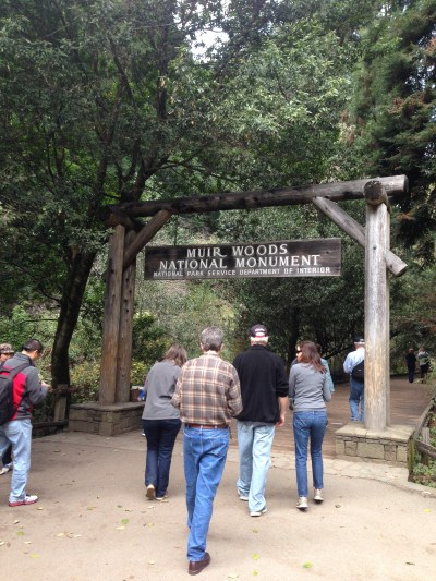 Muir Woods