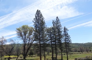 Yosemite National Park