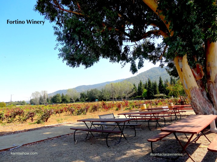 Fortino Winery