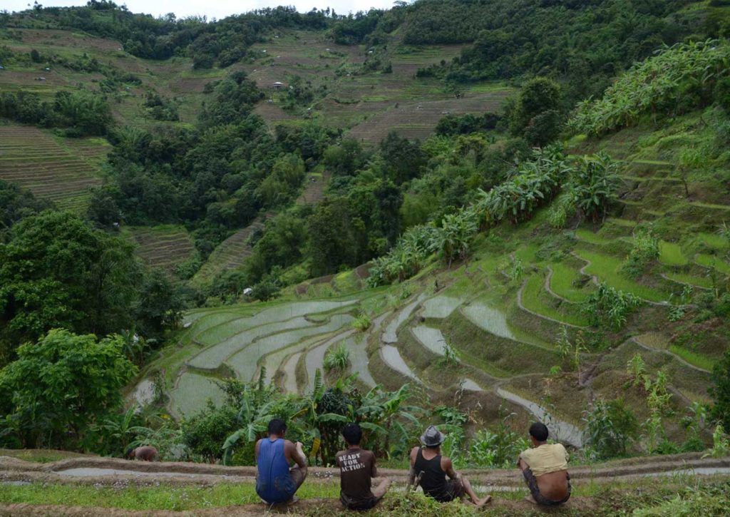 Uo Down And SIdeways