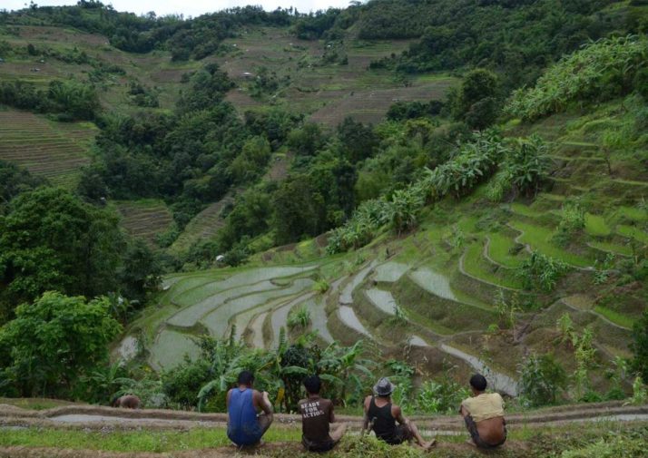 Uo Down And SIdeways